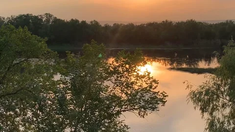 Evening landscape in summer at sunset by the river Stock Footage 145731506
