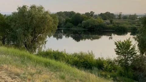 Evening landscape in summer at sunset by the river Stock Footage 145731556