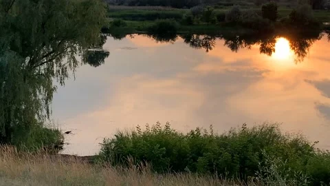 Evening landscape in summer at sunset by the river Stock Footage 145731570