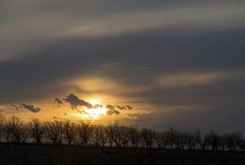 Evening landscape with tree valley. Stock Photos