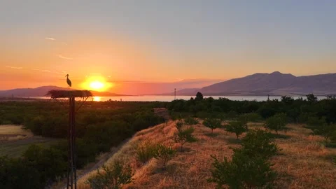 Evening Landscape with White Stork and Lake Stock-Footage 340382762