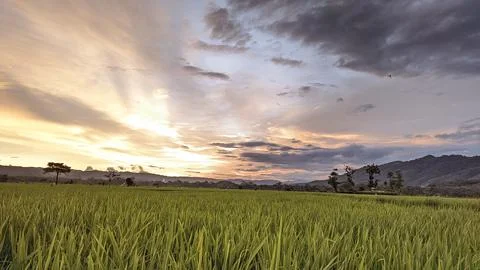 Evening landscapes Stock Photos