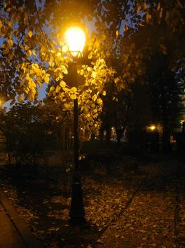 Evening lantern Foto stock