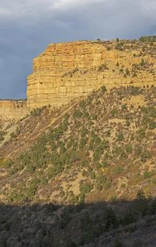 Evening Light on an Arid Mesa Stockfoto's