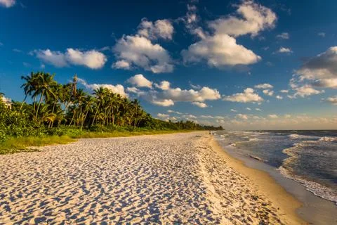 Evening light at the beach in naples, florida. Stock Photos