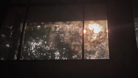 Evening light bokeh with flare through camera Stock Footage 252895390