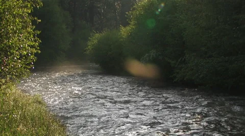 EVENING LIGHT ON CALM NORTHWEST RIVER Stock Footage 52555651