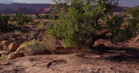 Evening light in the canyonlands, Glenn Canyon National Recreation Area Stock Footage 59197968