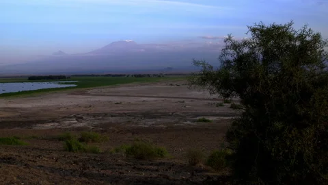 Evening light on Mount Kilimanjaro 스톡 동영상 134899762