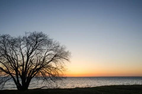 Evening light Stock Photos