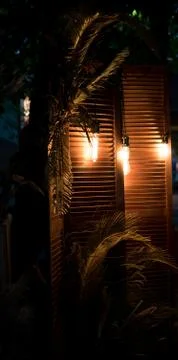 Evening light Stock Photos