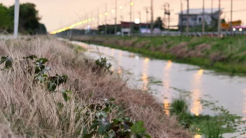 Evening Light Reflecting on a Canal with Overgrown Riverbank Видео 337140434