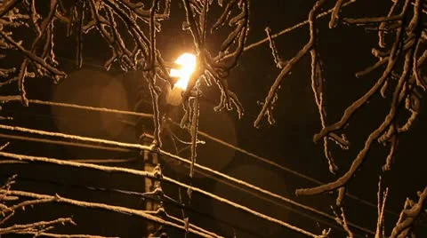 Evening light snow Video stock 8845301