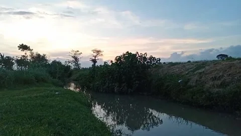 The evening light on the village river. 库存影片 334416841