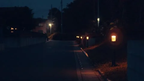 Evening lights from a park next to the road 库存影片 246474673