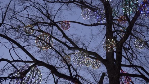 Evening lights on trees and misty promenade near Ostrow Tumski Stock Footage 108300690