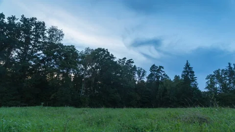 Evening meadow in forest in time lapse. Stock Footage 160431965