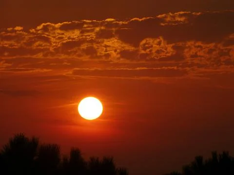 Evening mood with clouds sunset twilight pine forest Cesenatico Emilia Romagna Stock Photos