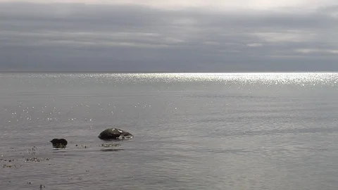 Evening mood by the sea shore Stock Footage 86365528