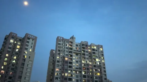 Evening Moon Above High-Rise Apartments with Birds at Blue Hour Video stock 339266700
