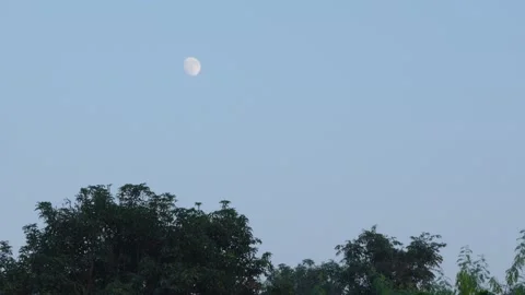 Evening Moon Video stock 322980027