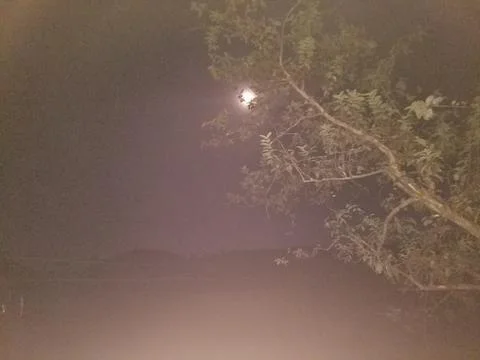 Evening Moon Stock Photos