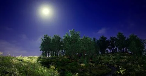 Evening moonlight casts gentle glow over a serene forest landscape Stock Illustration