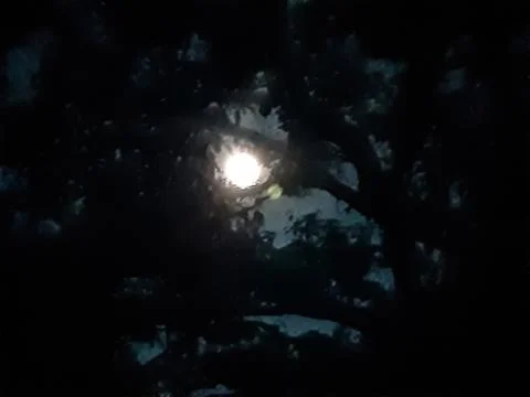 In the evening the moonlight shone in the eastern sky and the sky was clear. Stock Photos