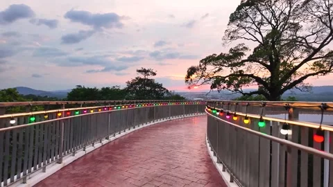 Evening Motion Through Tropical Ranong Skywalk Pathway Stock Footage 338333031