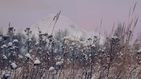 Evening mountain landscape in winter. Panoramic winter landscape Stock Footage 147020306