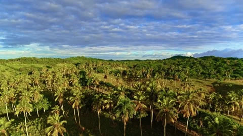 Evening mountain landscapes under a blue sky with clouds. Видео 330096933