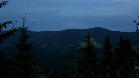 Evening at mountains with pines Stock Footage 159546308
