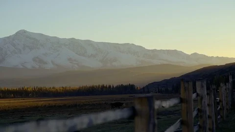Evening in the mountains. the sun is low, beautiful light, in the foreground a Stock Footage 102433306