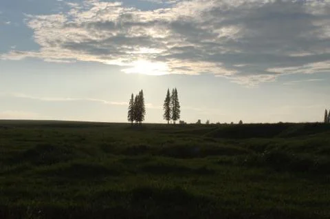 Evening in nature Stock Photos