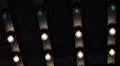 Evening Night Casino Entrance Incandescent Light Bulbs Flashing Electric Lamp US HD Footage