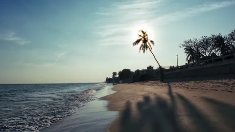 Evening ocean waves roll onto sandy shore with silhouetted palm against sun Stock Footage 327391153