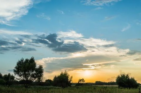  Evening over the field Stock-Fotos