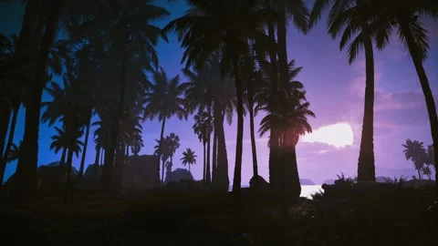 Evening Palms Horizon Stock Footage 321466895