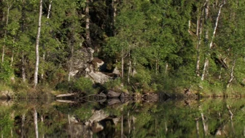 Evening panning Stock Footage 346125321