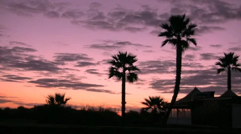 Evening in Paradise Видео 7730583