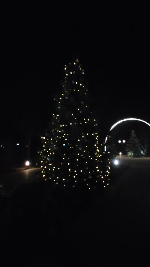In the evening park, the Christmas tree is illuminated with festive lights. Stock Footage 324918044
