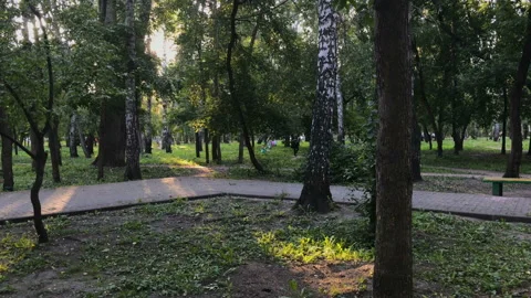 Evening in a park Stock Footage 93358012