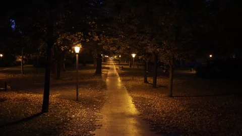 Evening park path with glowing streetlights and people cycling under autumn tree Stock Footage 319832993