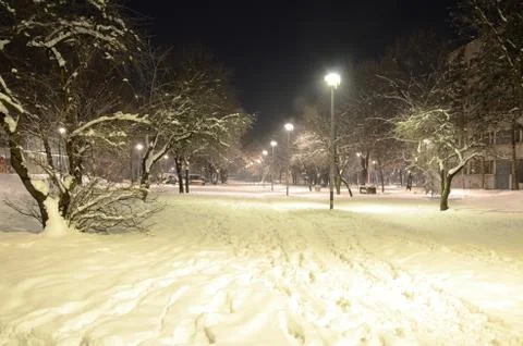 Evening in a Park Stock Photos