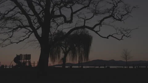 Evening Park Silhouette 库存影片 153016400