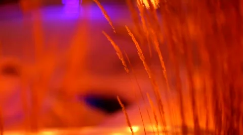 Evening park in snow Stock Footage 451890