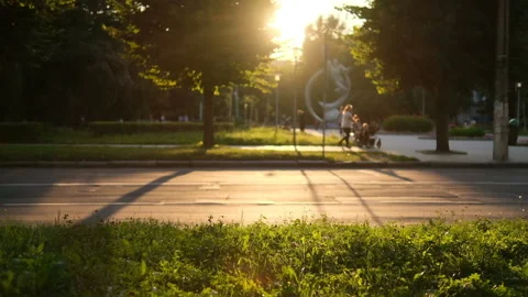 Evening in the Park with Summer Sunshine Background Stock Footage 197610296