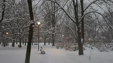 In the evening park in winter Stock-Footage 228752969