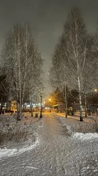 Evening Path in a winter park with lanterns. Vertical landscape photo. Snowy Stock Photos