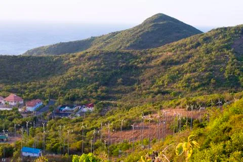 Evening Stock Photos